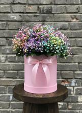 Цветочная композиция из Гипсофила и Розы в шляпной коробке в Красный Луч