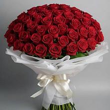 Букет 101 Красная роза Блэк Мэджик в Красный Луч