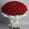 Букет 101 Красная роза Блэк Мэджик в Красный Луч