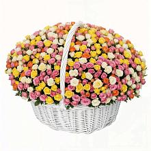 Премиум букет из: Розы #REPLACE_PRED# Красный Луч