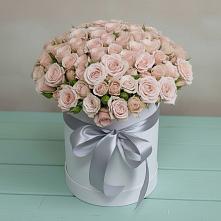 Цветочная композиция из Розы в шляпной коробке в Красный Луч