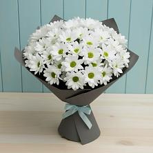 Букет цветов из:  Хризантемы в Красный Луч