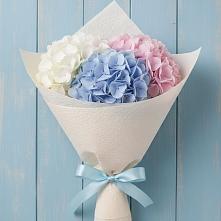 Букет цветов из:  Гортензия в Красный Луч