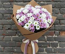 Букет цветов из:  Хризантемы в Красный Луч