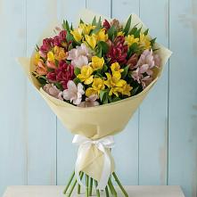Букет цветов из:  Альстромерии в Красный Луч