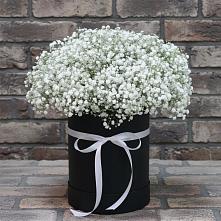 Цветочная композиция из Гипсофила в шляпной коробке в Красный Луч