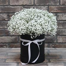 Цветочная композиция из Гипсофила в шляпной коробке в Красный Луч