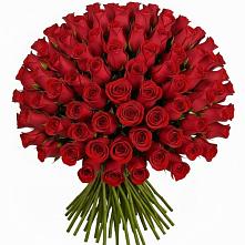 Букет Красные розы Чери Лав #REPLACE_PRED# Красный Луч