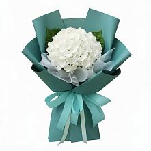 Букет цветов из:  Гортензия в Красный Луч